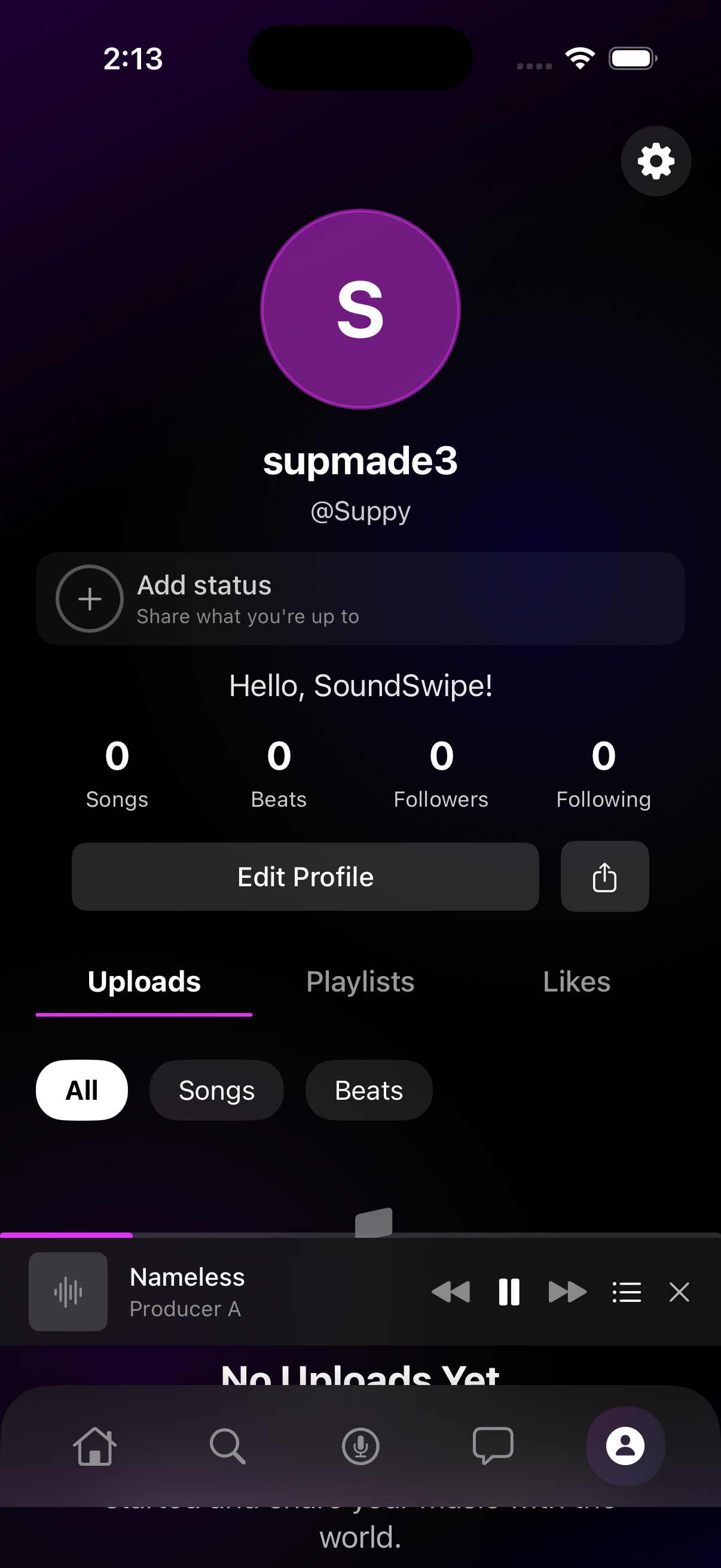SoundSwipe Profile